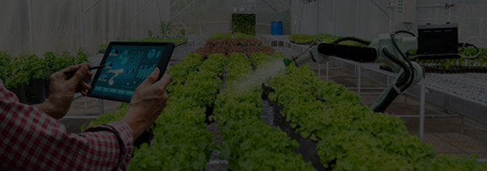 The smart agriculture solutions
