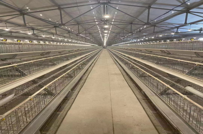 Poultry Farm Lighting system - baobabtrees