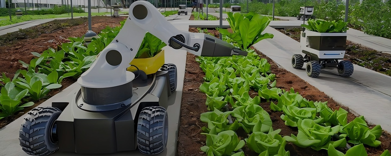 Smart Agriculture Solutions